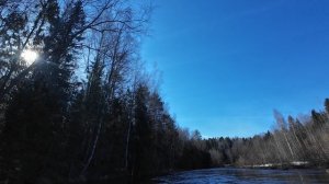 Река Комёла - 15.04.2026