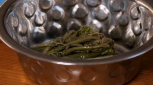 😱 Эта рыба ВКУСНЕЕ лосося?! Жареный муксун