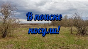 Ищу косулю.