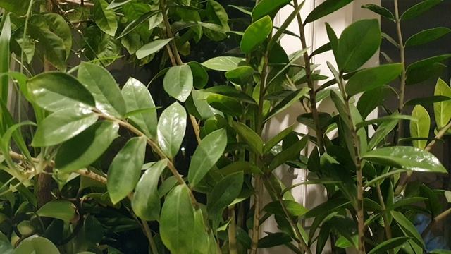 Твори Любовь!