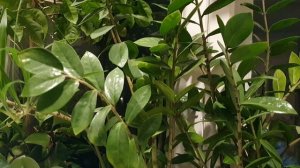 Твори Любовь!