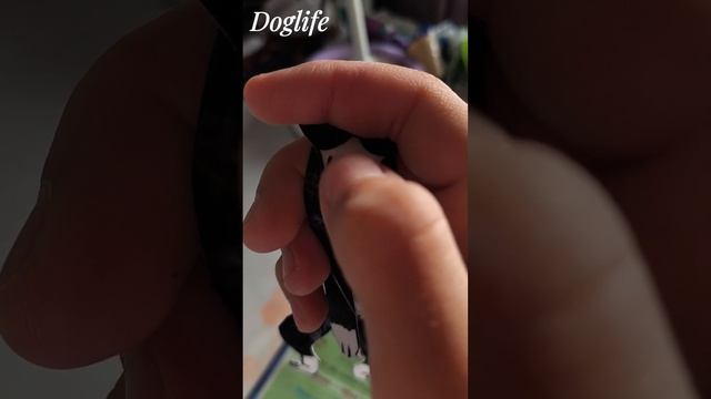 Влог:Собираюсь в школу