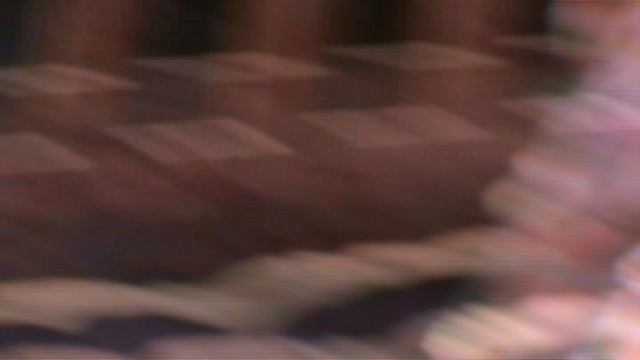 13)Б ПАРК ПОБЕДЫ ЗООПАРК