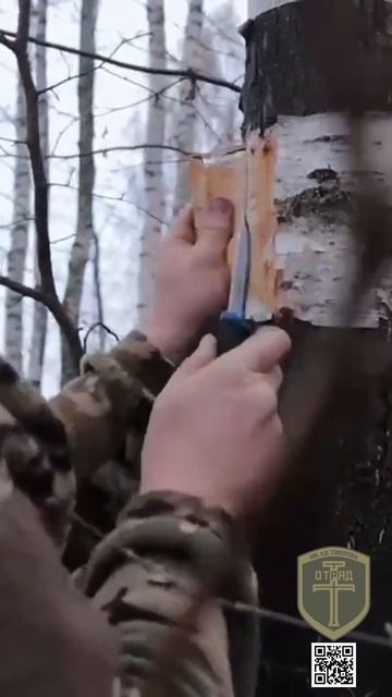 Выживание — не магия. Не заблудиться в лесу и выжить без паники. База ч.1 с боевыми инструкторами