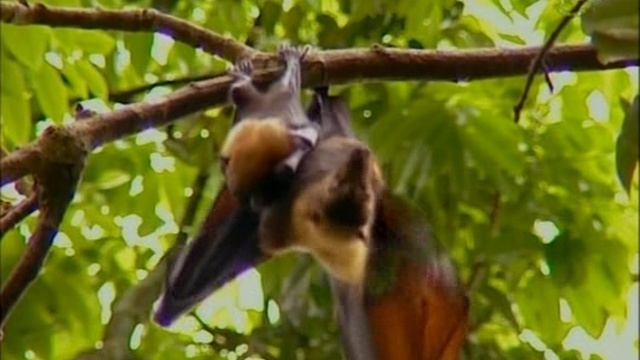 Запреты 2 сезон 6 серия (документальный сериал, 2003)