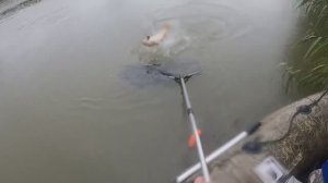 Рыбалка в Астрахани в октябре 2022.  База Сазанья Бухта. Рыбалка на сазана. ч-3.