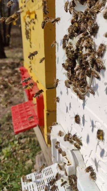 Выдался хороший денёк в апреле 2026 года