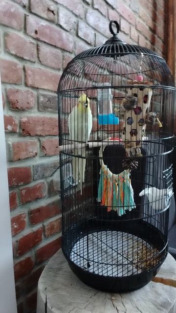 Эмиль рузалевич