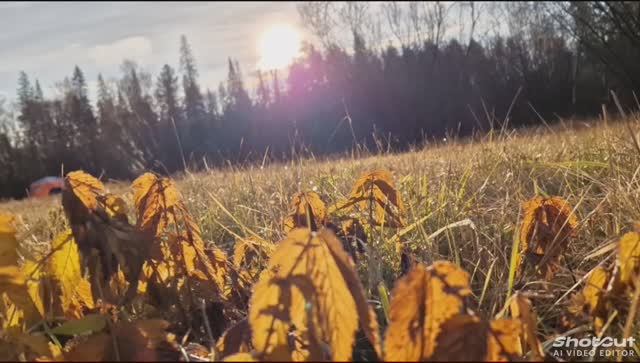 Осенний отдых.