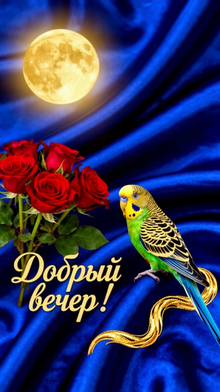 ДОБРЫЙ ВЕЧЕР! РЕЛАКС. РАЙСКИЙ САД ПЕНИЕ ПТИЦ!