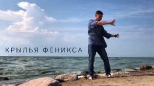 Крылья Феникса
