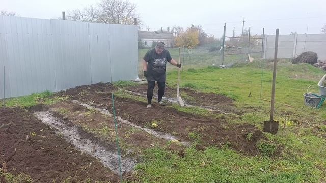 10. November 2025Крым.Не могу расстаться с огородом,, привезли саженцы.