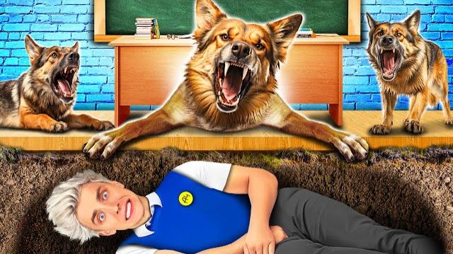 Прятки от СОБАКИ в ШКОЛЕ !