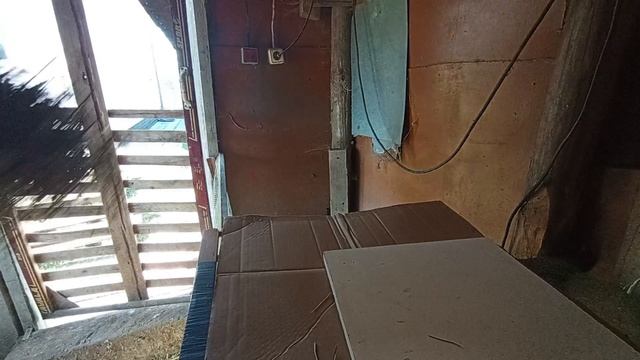 Переселяем цыплят