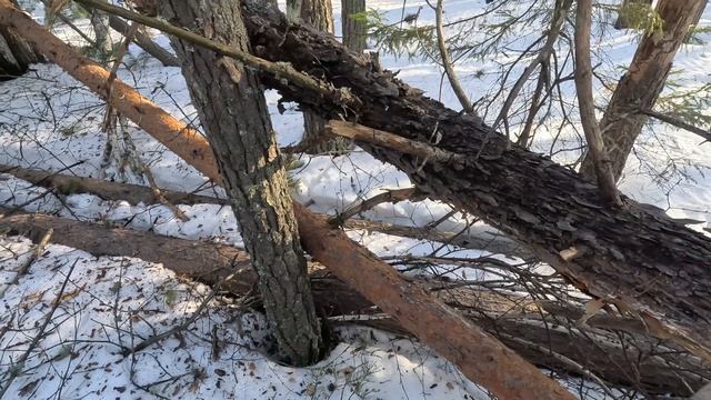 БУДНИ ЛЕСОРУБА // ГЕЙМЕРСКИЙ СТОЛ СВОИМИ РУКАМИ //  СМАСТЕРИЛ 