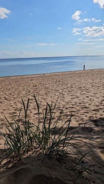 Комарово. Санкт-Петербург. Июнь. Отдых #отдых #отдых2024 #комарово #лето2024