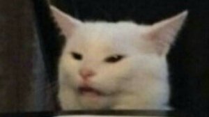 Fortnite с подписчиками твича