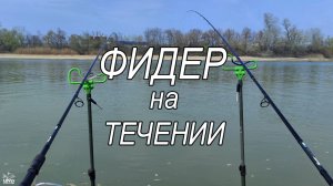 Фидер на сильном течении. Рыбалка на реке Кубань