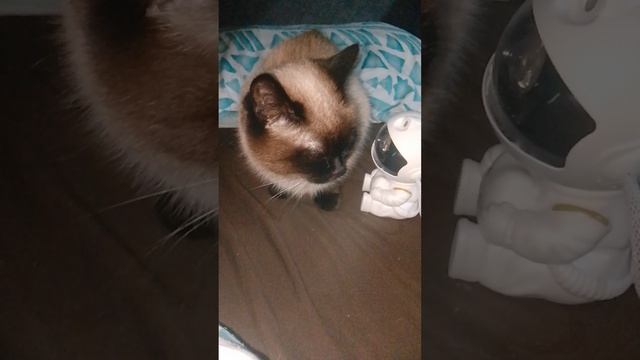 Если бы ты ходили в школу