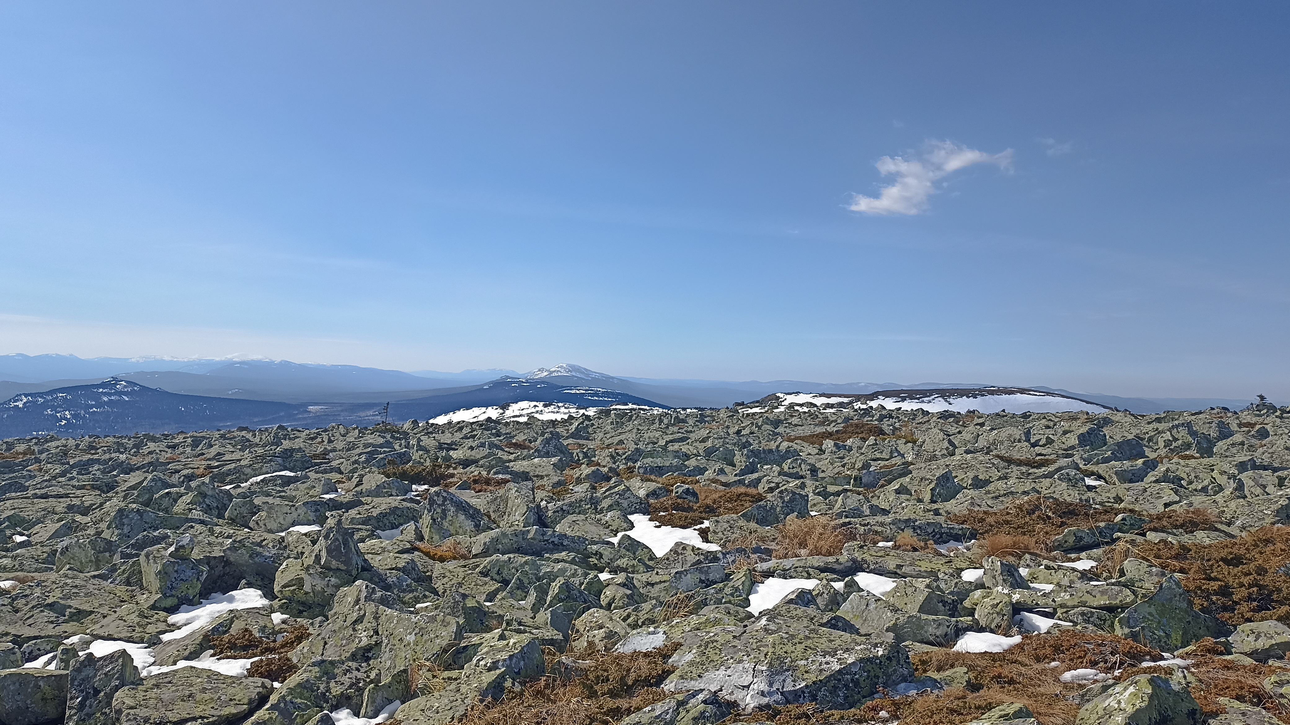 Не ожидали от деда такой формы.