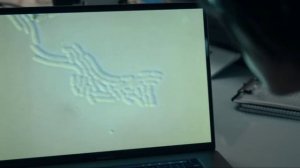 Этот вид бактерий ведёт себя необычно...