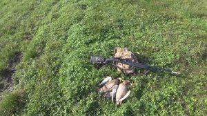 ОХОТА НА УТКУ