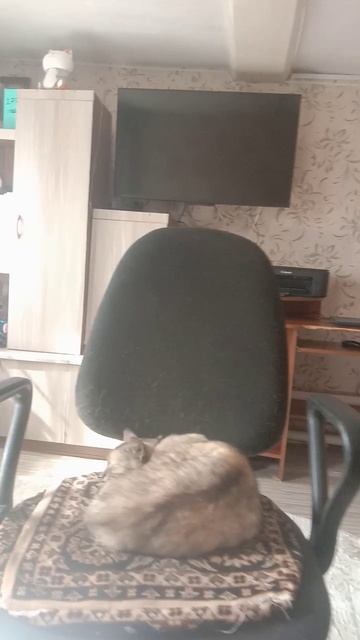 это я не знаю что со мной происходит