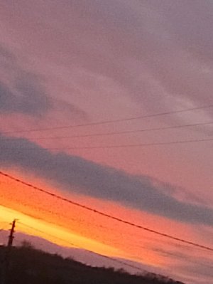 Саша и школа