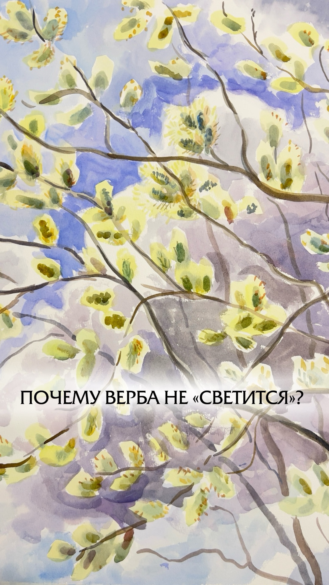 Верба в акварели: лёгкий тёплый подтон  холодный свечение. Работа очень живая. Обучение в профиле!
