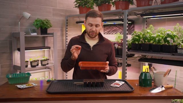 ЭТИ ЦВЕТЫ НУЖНО СЕЯТЬ УЖЕ СЕЙЧАС! НЕ ОПОЗДАЙ!Идеальный старт для роскошного летнего сада