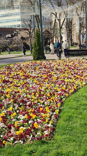 Цветущий Кисловодск