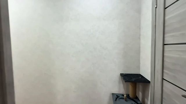 Цоя 3 2 этаж 821 кв.м.