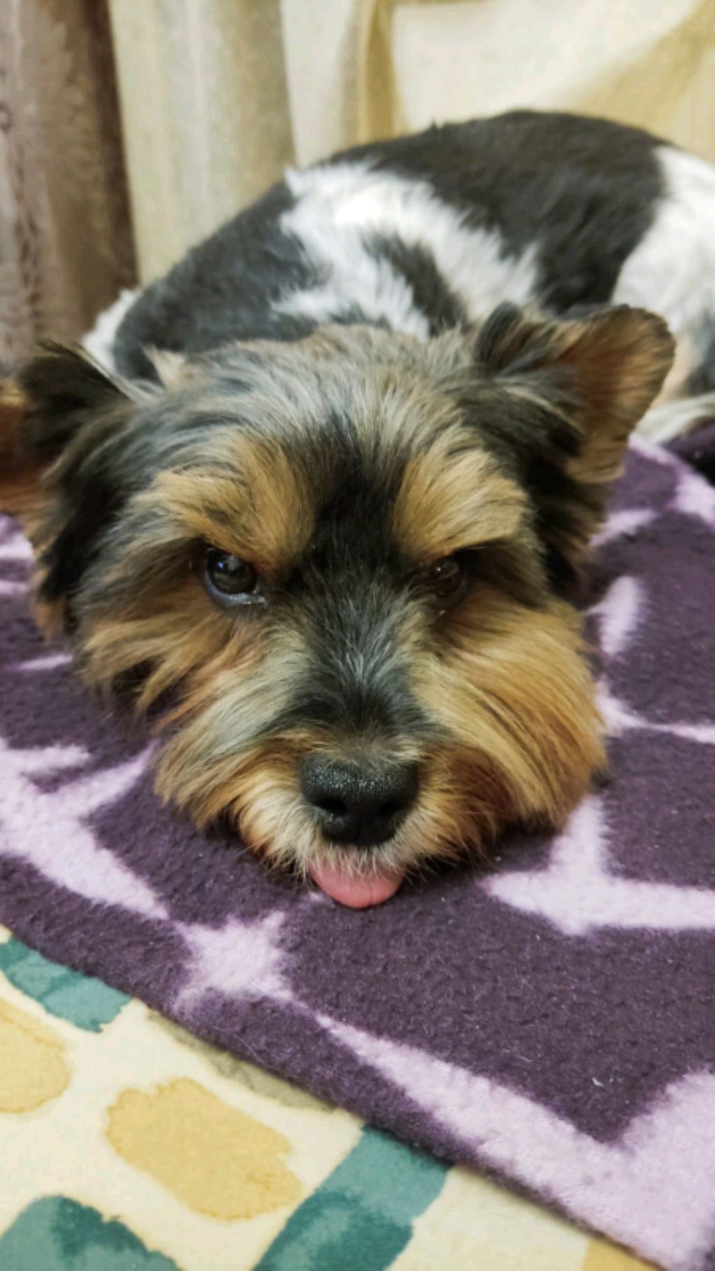 ТРАНСЛЯЦИЯ СО ШКОЛЫ