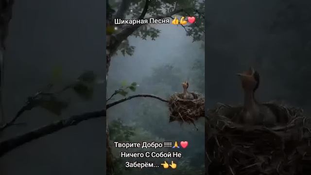 Творите добро!