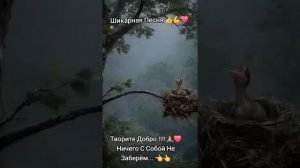 Творите добро!