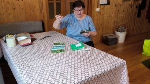 Пора сажать огурцы