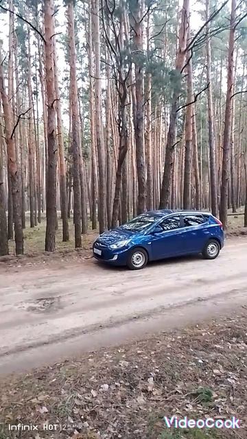 В сосновом бору.