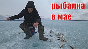 Рыбалка в мае со льда на озере Арахлей.