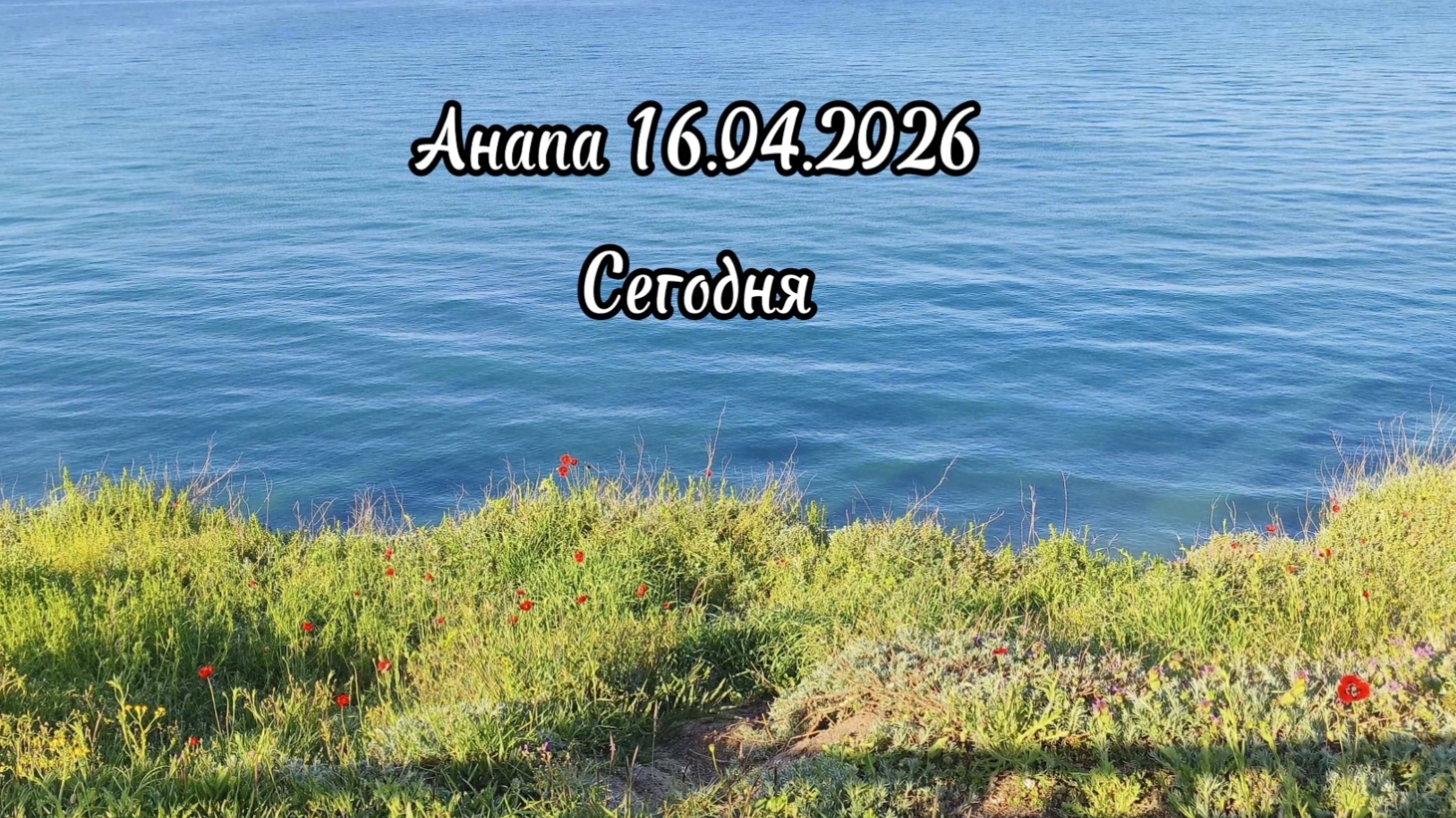 Анапа Сегодня 16.04.2026