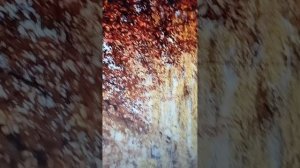 Стародавняя Москва, Каменщик, - сл. В.  Брюсова; Валерию Брюсову, -сл. А. Блока, муз и вок.М.Точиной