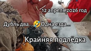 Крайняя подлёдка