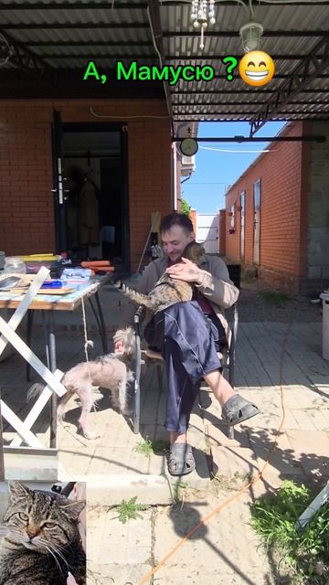 Папа на расхват 