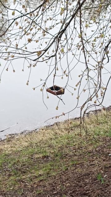 НЕ ДО КОНЦА СОБРАЛИ