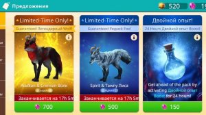 Обзорчик новых львов!