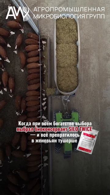 животноводство кормозаготовка сенаж крс силос зоотехния молочноеживотноводство агрономия