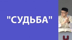 Предопределение