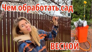 Обработка сада весной от болезней и вредителей. Дезинфекция теплицы и грядок