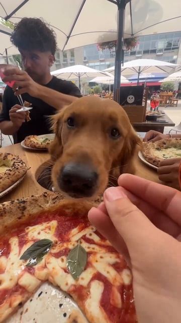 Шикарное времяпровождения 😋))