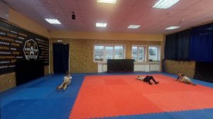 ГРУППА 6.1 Сдача силовых нормативов 2026