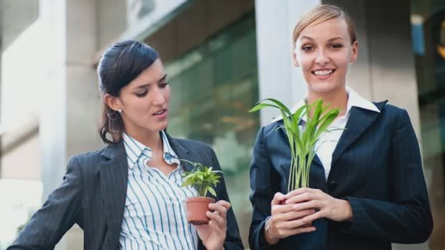 Чужая зависть! Как от нее очиститься?